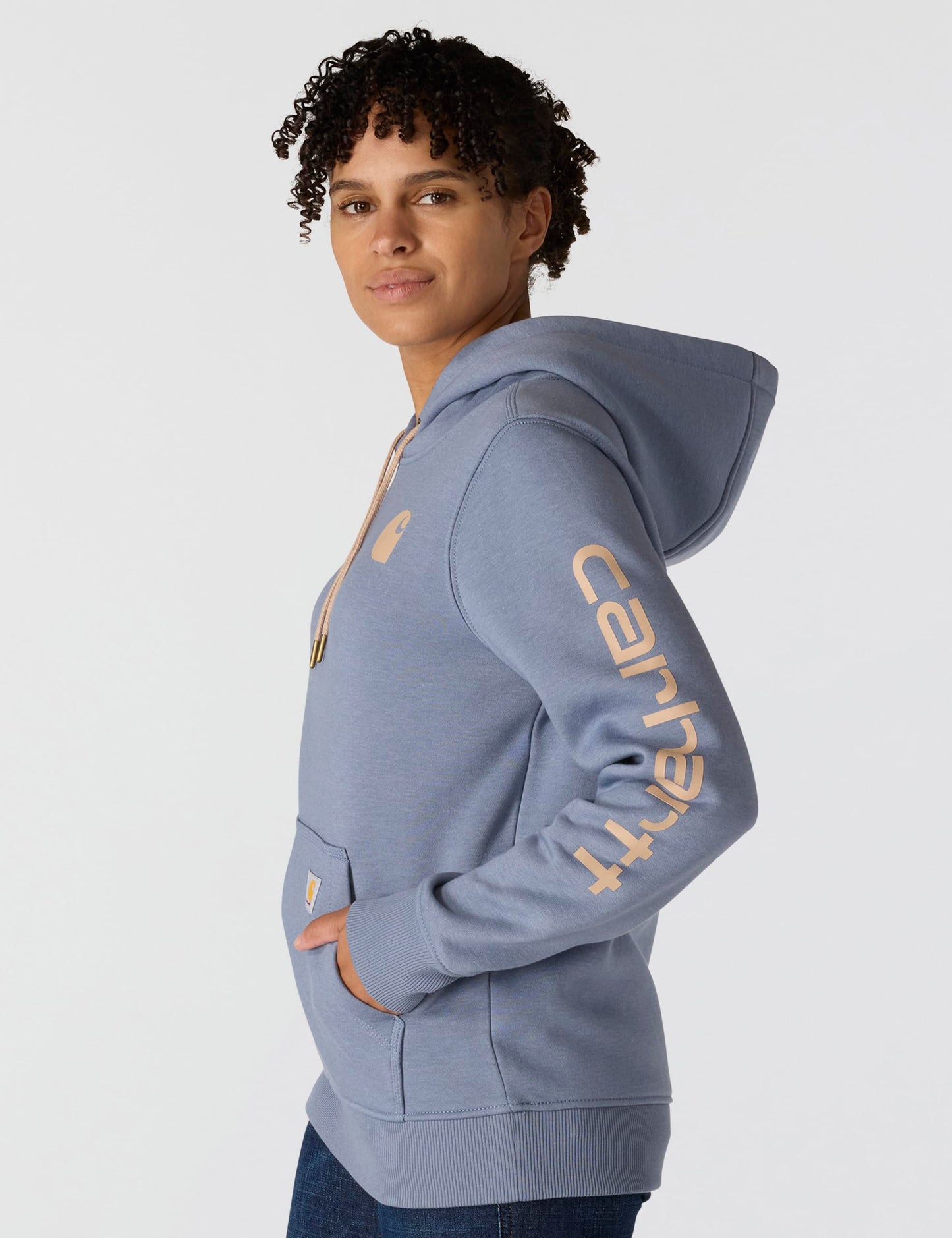 Carhartt Women's Relaxed Fit Midweight Logo Sleeve Graphic Sweatshirt, Light Faded Navy Heather/Light Taupe Hea, Small